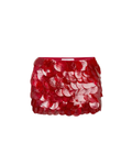 Ruby Disco Skirt